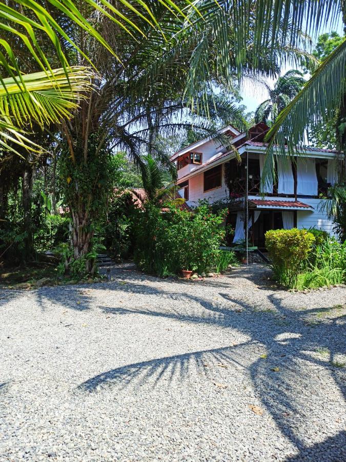 Chilamate Holiday House Puerto Viejo de Talamanca Exteriör bild