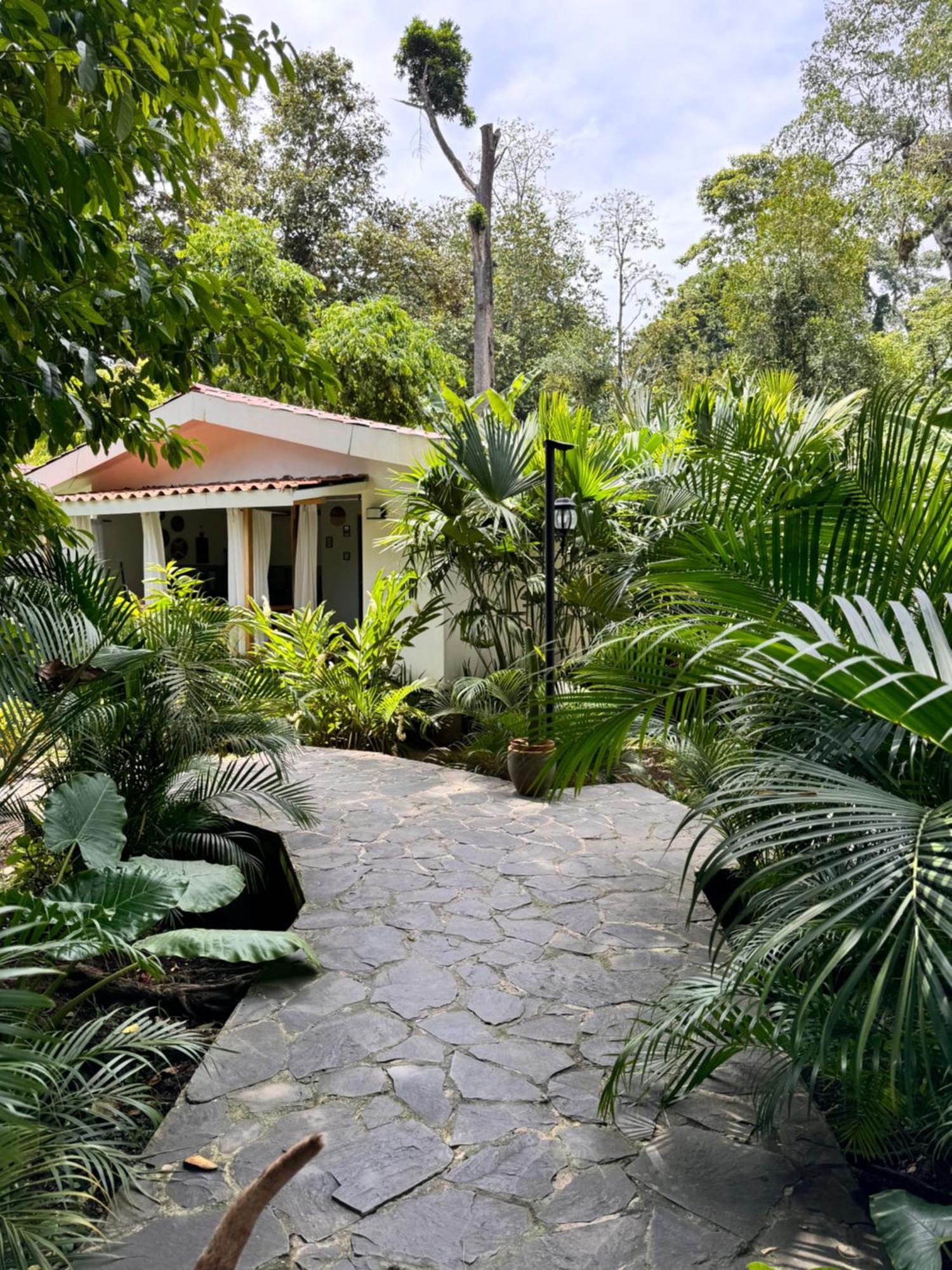 Chilamate Holiday House Puerto Viejo de Talamanca Exteriör bild