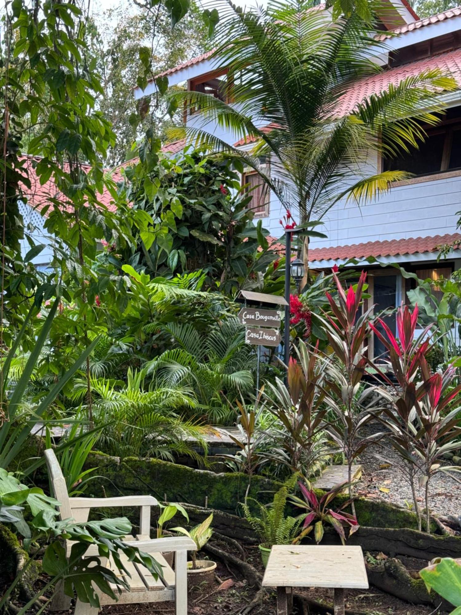 Chilamate Holiday House Puerto Viejo de Talamanca Exteriör bild